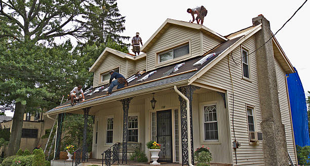 Best Roof Gutter Cleaning  in Markesan, WI